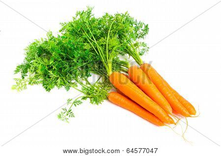 Carrots