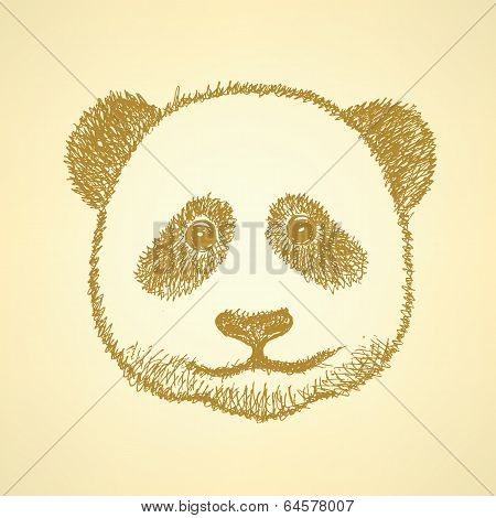 Sketch Head Of Panda, Vector Background