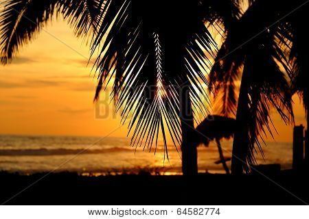 Sunset on the West Coast of Mexico