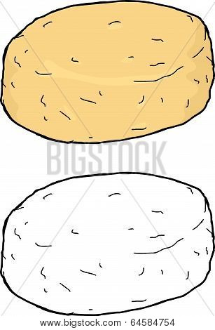 Isolated Single Biscuit