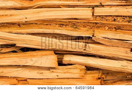 Cupressus Macrocarpa Wood Splits
