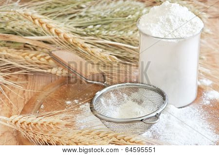 Wheat Flour