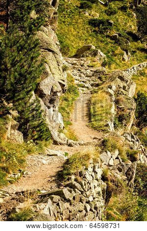 Path