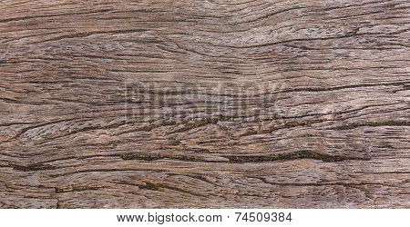 Old Wood Texture