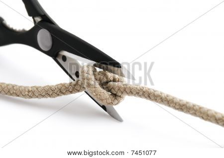 Cut Gordian Knot