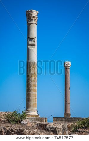 Ruins Of Antonine Baths At Carthage, Tunisia