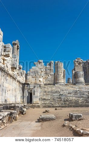 Temple Apollo In Didim