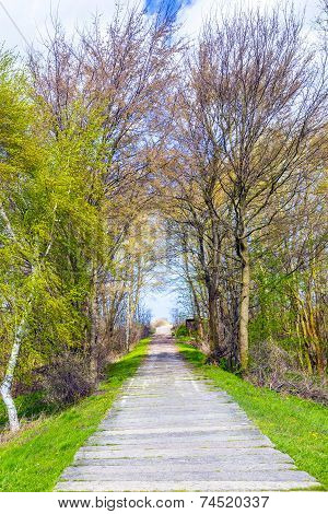 Levee With Sandy Path To Beach At Baltic Sea