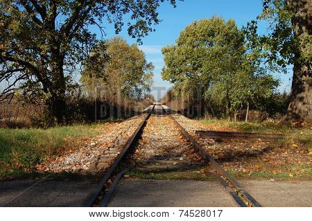 The Railroad To Nowhere