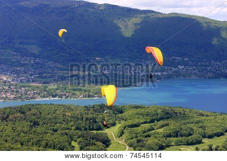 Paragliders