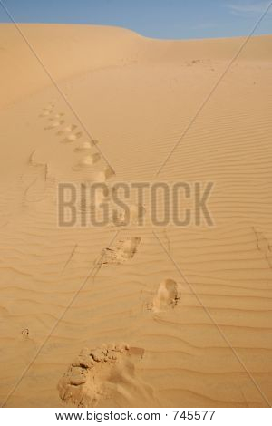 empreintes de pas sur le sable