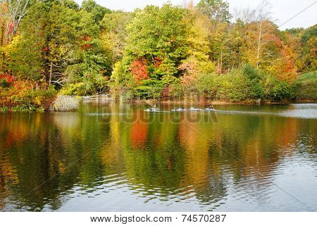 Colorful Fall Foliage Reflection On A Pond