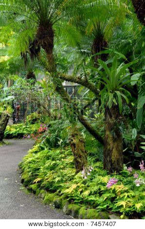 geschwungene tropischen Garten