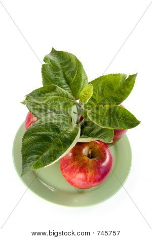 Rige apple afgrøde