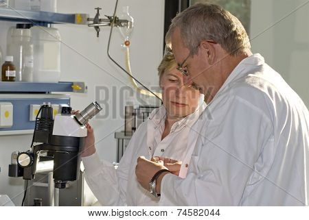 Two science technicians survey the results of their experiments