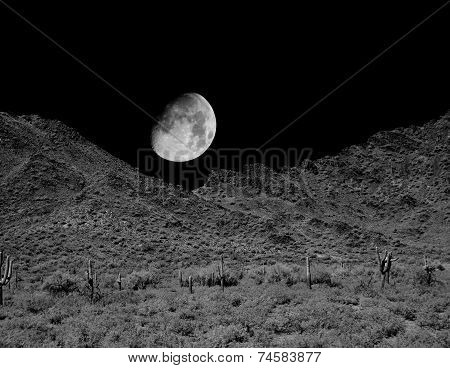Desert Moon