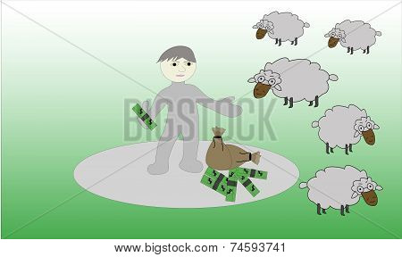 Shaggy Sheep