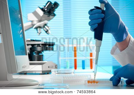 scientist working at the laboratory