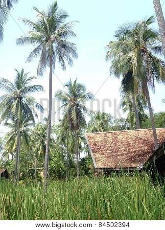 Tropical Paradise Resort