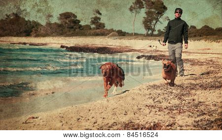 Dog Playing
