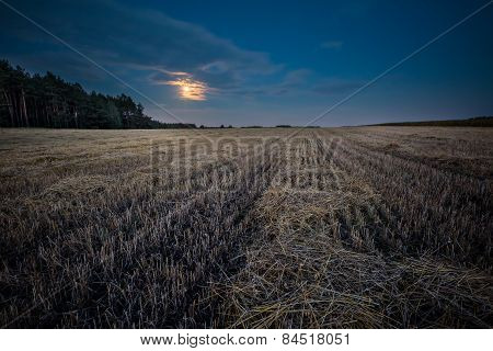 Stubble Field Under Rising Moon
