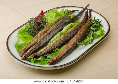 Lamprey