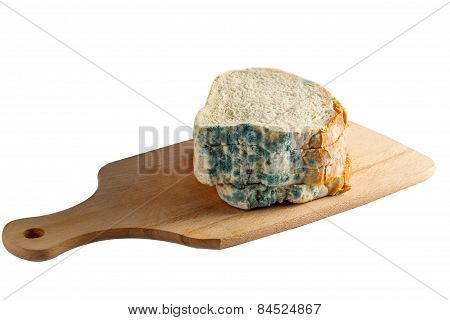 Moldy Bread