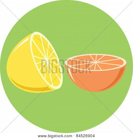 Lemon and Orange flat illustration