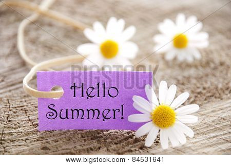 Purple Label with Hello Summer