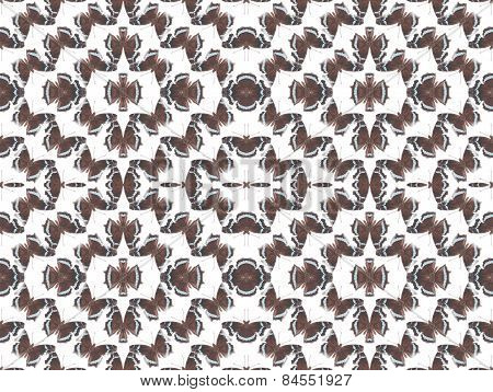 butterfly pattern
