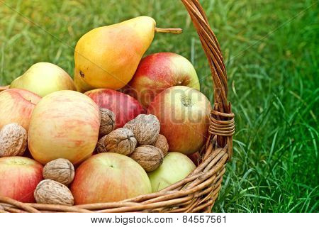 Outmn ftuits in a wicker basket