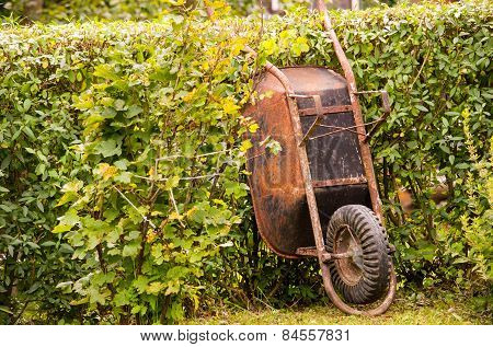 Rusty wheelbarrow