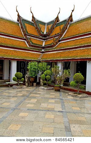 Pavement Gold    Temple       Bangkok  Plant  Temple