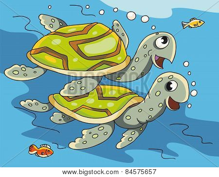 aquatic turtles
