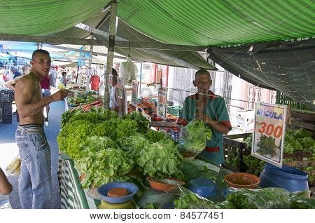 Traditional Street Fair Of Sao Paulo City