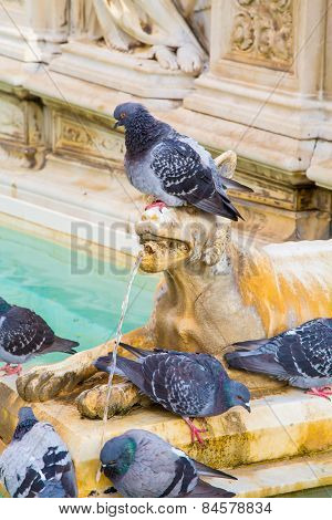 Pigeon On The Fountain Sculpture