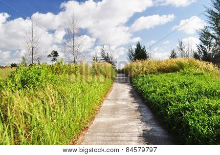 Road