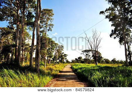 Road