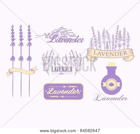 Vintage lavender background, aromatherapy and spa packaging design