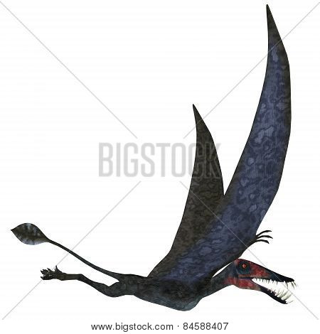 Dorygnathus Pterosaur Over White
