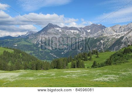 Summer Scene In The Bernese Oberland