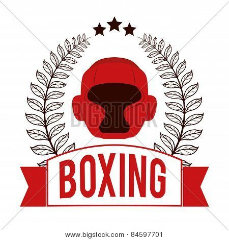 boxing sport