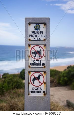 Australian Beach