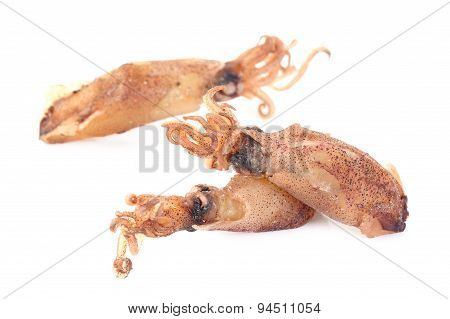 Beka Squid On White