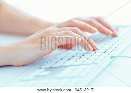 Female Hands Or Woman Office Worker Typing On The Keyboard