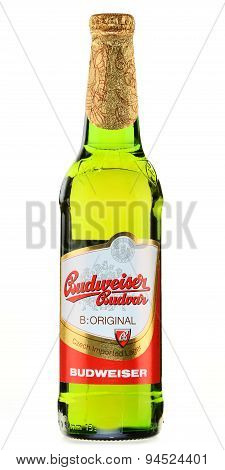 Bottle Of Budweiser Budvar Beer Isolated On White