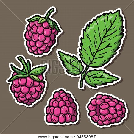 Raspberry stickers color