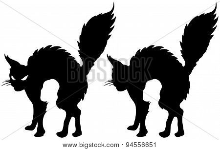 angry cat silhouette