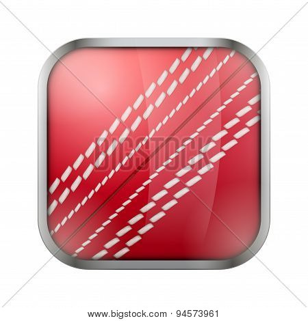 Square icon for cricket app or games