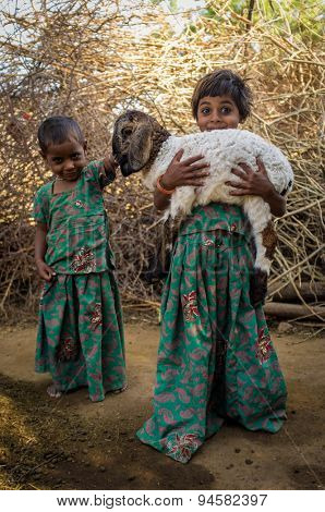 GODWAR REGION, INDIA - 13 FEBRUARY 2015: Two little Rabari girls in stable with small lamb. Rabari or Rewari are an Indian community in the state of Gujarat.